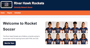 COMM-101 Rockets Website